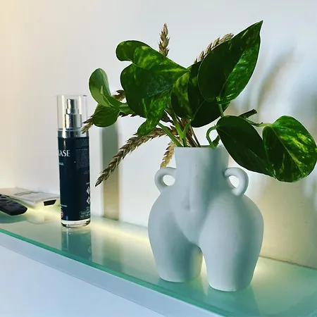 Lame Relaxing Bologna