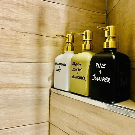 Lame Relaxing 볼로냐