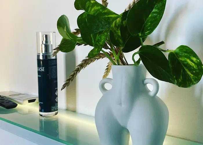 Lame Relaxing Bologna