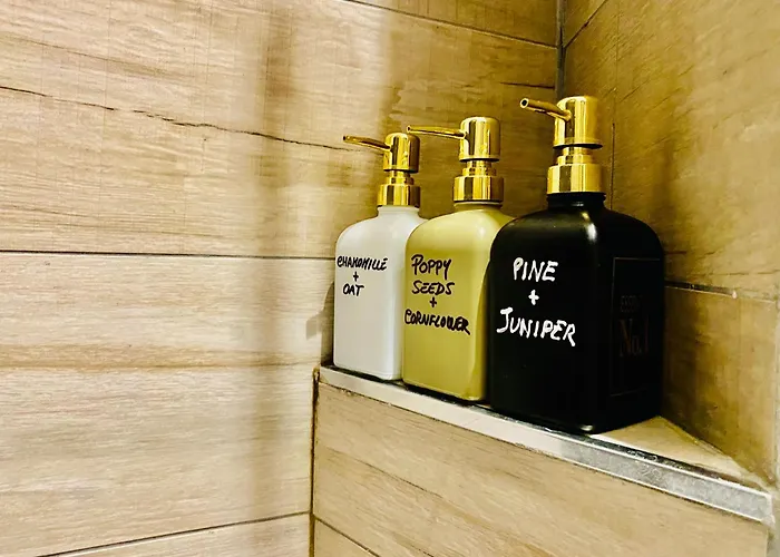 Lame Relaxing Bologna